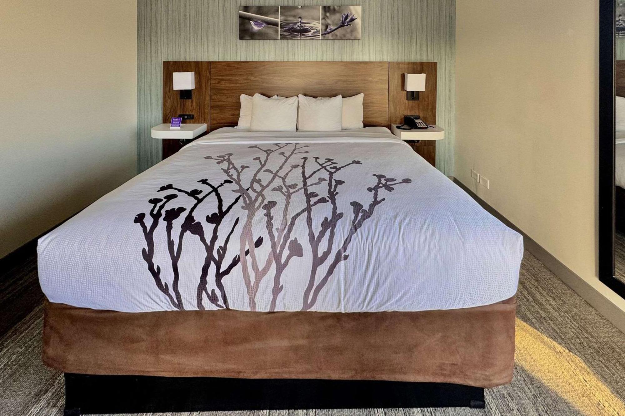 Sleep Inn Oakbrook Terrace - Chicago Ngoại thất bức ảnh